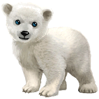 animals & polar bear free transparent png image.