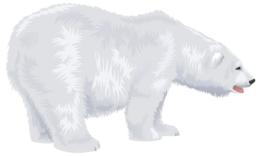 animals & polar bear free transparent png image.