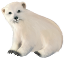 animals & polar bear free transparent png image.