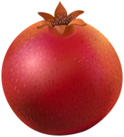 fruits & Pomegranate free transparent png image.