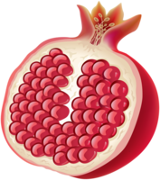 fruits & Pomegranate free transparent png image.