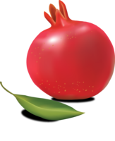 fruits & Pomegranate free transparent png image.