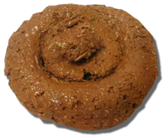 miscellaneous & poop free transparent png image.