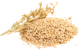 food & Porridge Oatmeal free transparent png image.
