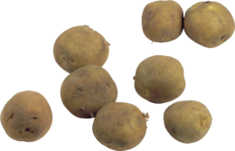 vegetables & potato free transparent png image.