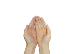 fantasy & Praying hands free transparent png image.