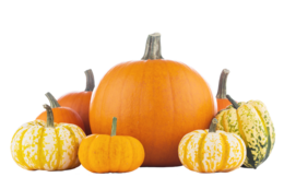 vegetables & Pumpkin free transparent png image.