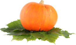 vegetables & pumpkin free transparent png image.