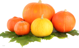 vegetables & Pumpkin free transparent png image.