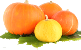 vegetables & Pumpkin free transparent png image.