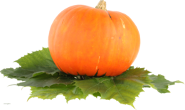 vegetables & Pumpkin free transparent png image.