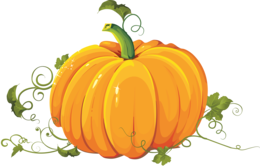 vegetables & pumpkin free transparent png image.