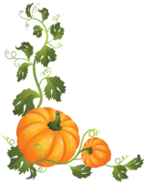 vegetables & pumpkin free transparent png image.