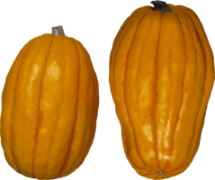 vegetables & pumpkin free transparent png image.