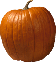 vegetables & Pumpkin free transparent png image.