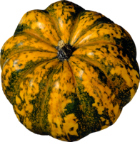 vegetables & Pumpkin free transparent png image.