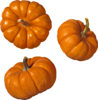 vegetables & pumpkin free transparent png image.