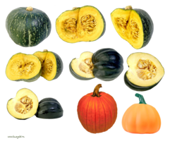 vegetables & Pumpkin free transparent png image.