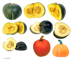 vegetables & pumpkin free transparent png image.