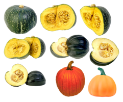 vegetables & pumpkin free transparent png image.