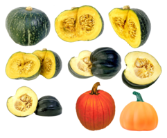 vegetables & Pumpkin free transparent png image.