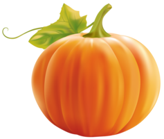 Pumpkin&vegetables png image