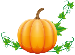 vegetables & Pumpkin free transparent png image.