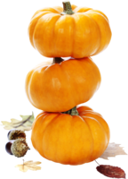 vegetables & Pumpkin free transparent png image.