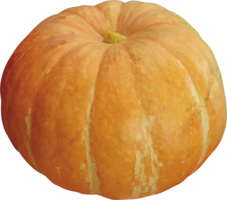 vegetables & Pumpkin free transparent png image.