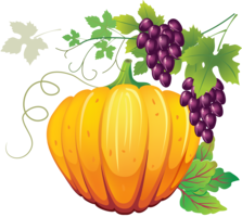 vegetables & Pumpkin free transparent png image.