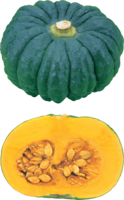 vegetables & Pumpkin free transparent png image.