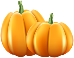 vegetables & Pumpkin free transparent png image.