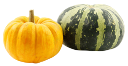 vegetables & Pumpkin free transparent png image.