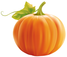 vegetables & Pumpkin free transparent png image.