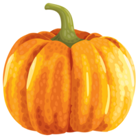 vegetables & pumpkin free transparent png image.