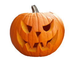 vegetables & Pumpkin free transparent png image.