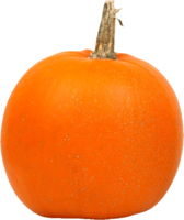 vegetables & pumpkin free transparent png image.