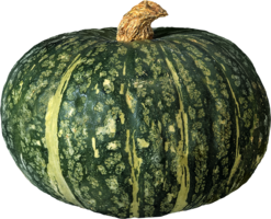 vegetables & Pumpkin free transparent png image.