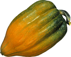 vegetables & Pumpkin free transparent png image.