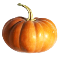 vegetables & Pumpkin free transparent png image.