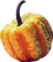 vegetables & pumpkin free transparent png image.