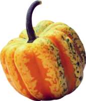 vegetables & Pumpkin free transparent png image.