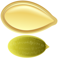 fruits & pumpkin seeds free transparent png image.