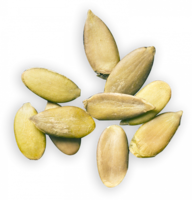 fruits & Pumpkin seeds free transparent png image.