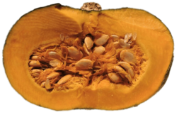 fruits & pumpkin seeds free transparent png image.