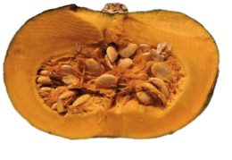 fruits & Pumpkin seeds free transparent png image.