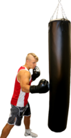 sport & punching bag free transparent png image.