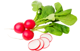 vegetables & radish free transparent png image.