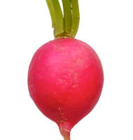 vegetables & radish free transparent png image.