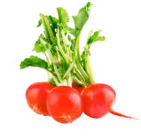 vegetables & radish free transparent png image.